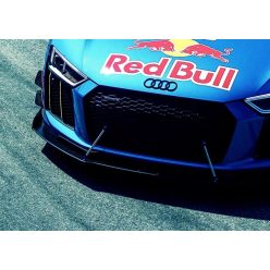 Canards Audi R8 4S