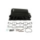 Intake manifold SB Chevy Small Block