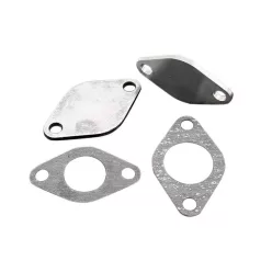 EGR removal kit TDI