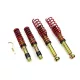 Coilover Suspension MTS BMW Seria 5 E39 Sedan 95-03