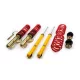 Coilover Suspension MTS AUDI A3 8L / SEAT Leon I Toledo II / SKODA Octavia I / VW Bora Golf IV New Beetle 96-