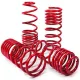 Lowering springs MTS Citroen Saxo 30/- mm