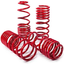   Lowering springs MTS Honda Acura Honda Integra Civic V Hatchback Civic V Coupe CRX III 60/55 mm