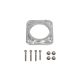 DBW Adapter Audi 4.2
