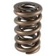PAC Circle Track 1200 Series Valve Spring 1.244 OD Dual