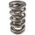 PAC RPM Series LS Round Wire Dual Valve Spring