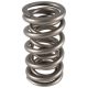 PAC RPM Series LS Round Wire Dual Valve Spring