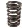 PAC Single 604 Crate Motor Cheater Single Spring