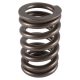 PAC Single 604 Crate Motor Cheater Single Spring