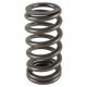 PAC Ford 4.6L 2V .550 lift Beehive Ovate Valve Spring