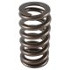 PAC Ford 4.6L 2V .600 lift Beehive Ovate Valve Spring