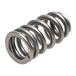 PAC RPM Series LS1 HP Ovate Beehive  Valve Spring