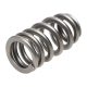 PAC RPM Series LS1 HP Ovate Beehive  Valve Spring