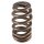 PAC LS1 HP Ovate Beehive Valve Spring