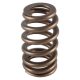 PAC LS1 HP Ovate Beehive Valve Spring