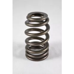 PAC BBC Ovate Beehive Valve Spring