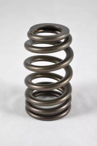 PAC BBC Ovate Beehive Valve Spring
