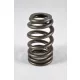 PAC BBC Ovate Beehive Valve Spring
