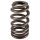 PAC BBC Ovate Beehive Valve Spring