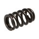 PAC Ford 4.6L 4V .500 lift Ovate Beehive Valve Spring