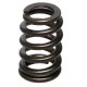 PAC Beehive RPM Series Valve Spring Ford 4.6L 4 Valve