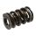 PAC Drag Race 1200 Series Valve Spring 1.550 Dual  dampered