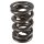 PAC Drag Race 1200 Series Valve Spring 1.625 - 0.900 lift