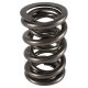PAC Drag Race 1200 Series Valve Spring 1.625 - 0.900 lift
