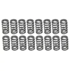 PAC Beehive RPM Series Valve Spring Upgrade for GT500 and Co