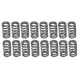 PAC Beehive RPM Series Valve Spring Upgrade for GT500 and Co