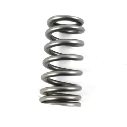 PAC Beehive RPM Series Valve Spring Upgrade for GT500 and Co