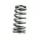 PAC Beehive RPM Series Valve Spring Upgrade for GT500 and Co