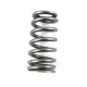 PAC Beehive RPM Series Valve Spring Upgrade for GT500 and Co