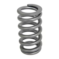 PAC Beehive RPM Series Valve Spring Upgrade for GT500 and Co
