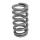 PAC Beehive RPM Series Valve Spring Upgrade for GT500 and Co