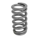 PAC Beehive RPM Series Valve Spring Upgrade for GT500 and Co