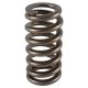 PAC Ford 4.6L 4V .500 lift Ovate Beehive Valve Spring