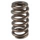 PAC Beehive Ovate Valve Spring Chrysler Hemi 5.7L, 6.1L for
