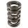 PAC Circle Track 1200 Series Valve Spring 1.550 Dual