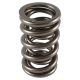 PAC Circle Track 1200 Series Valve Spring 1.550 Dual