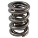 PAC Circle Track 1200 Series Valve Spring 1.570 Dual