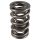 PAC Circle Track 1200 Series Valve Spring 1.550 Dual