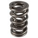 PAC Circle Track 1200 Series Valve Spring 1.550 Dual