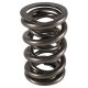 PAC Drag Race 1200 Series Valve Spring 1.645 - Bracket Race