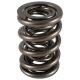 PAC Drag Race 1200 Series Valve Spring 1.645 - Bracket Race