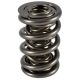 PAC Drag Race 1200 Series Valve Spring 1.645 Triple - Bracke