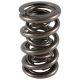 PAC Drag Race 1200 Series Valve Spring 1.645 Triple - Bracke