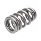 PAC RPM Series LS7 Drop in Beehive & Hemi SRT Exhaust Spring