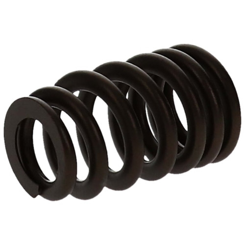 PAC RPM Series GM 604 Crate Engine Spring Blue Beehive