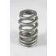 PAC Beehive RPM Series Valve Spring Ford FMOD 5.2L Intake